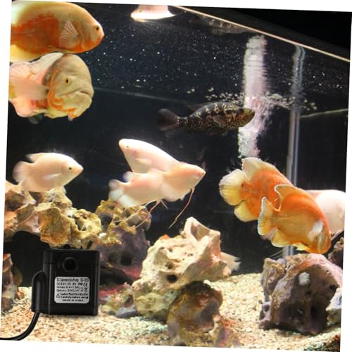 Small Fountain Pumps Submersible Water Pump Replacement for Cat Water Fountain