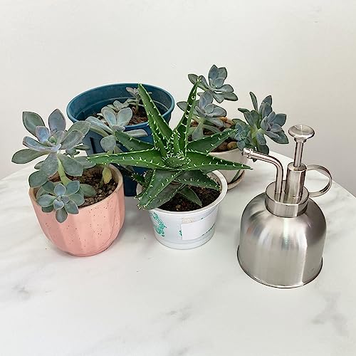 Stainless Steel Plant Sprayer, Small Watering Can for Indoor Potted Plants - color: 10oz/ Matte Silver
