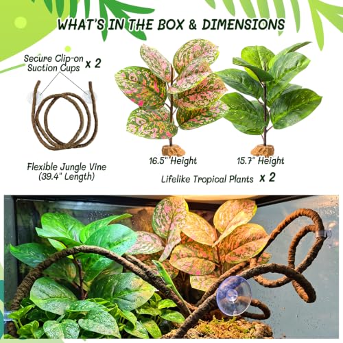 3PC Reptile Plants & Vine Kit for Terrarium Decor – Realistic Artificial Reptile Plants with Hanging Vine, Resin Stone Base & Suction Cup – Reptile Habitat & Climbing Accessories for Crested Gecko - color: Ficus Elastica