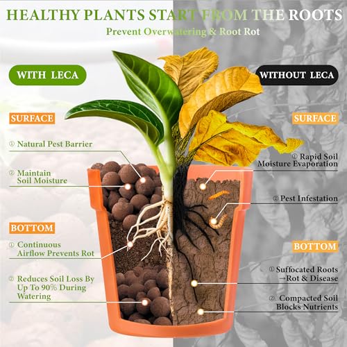 5qt LECA Clay Pebbles for Plants, 10-20mm LECA Balls for Hydroponics, Natural Clay Balls for Plants Drainage, Expanded Pebbles for Orchids, Soil Amendment, Orchid Potting Mix
