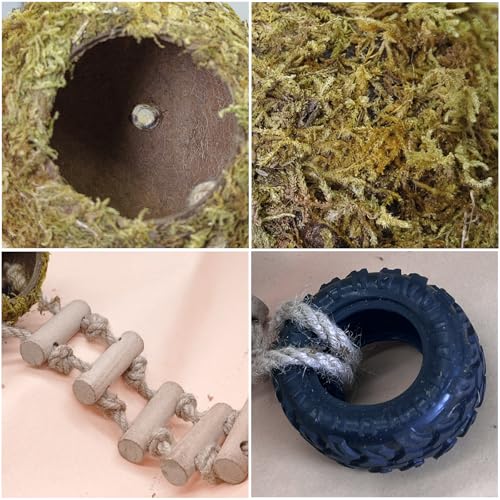 Hermit Crab Moss Coconut Shell Hideout with Climb Ladder,Leopard Gecko Hide Hut with Moss and Sea Shells,Hermit Crab Climbing Tank Accessories for Crested Gecko,Reptiles
