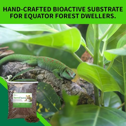 The Bio Dude Terra Fauna Bioactive Reptile Substrate 6 quarts for Terrarium and Vivarium Habitat. Great for Crested Geckos, Gargoyle Geckos, Day Geckos, Whites Tree Frogs and Indoor Gardening
