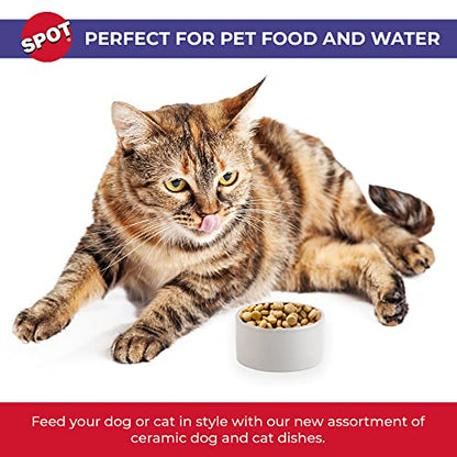 SPOT Ceramic Stoneware- Pet Bowl for Cats, Kittens and Mini Dogs, Classic Heavy Duty Non-Slip Ceramic Bowl for Food and Water -2.75in Diameter - size: 3"