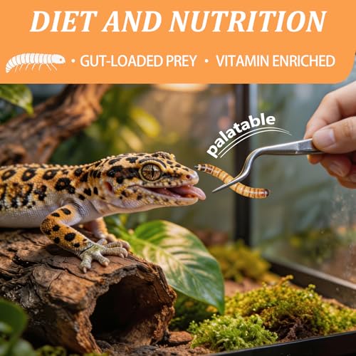 2 Pack Gourmet Canned Superworms for Reptiles & Exotic Pets, Healthy High Protein Pet Treats, Supe Worms for Lizards, Reptiles, Birds, Fish, Hedgehogs etc, 5.5 oz Total