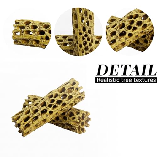 Natural Cholla Wood for Aquarium - 6 Inch Hollow Log Shrimp Hideout, Hermit Crab Climbing Toy, Realistic Driftwood Decor for Fish Tank, Reptile Terrarium Branch Ornament (2 Pack)
