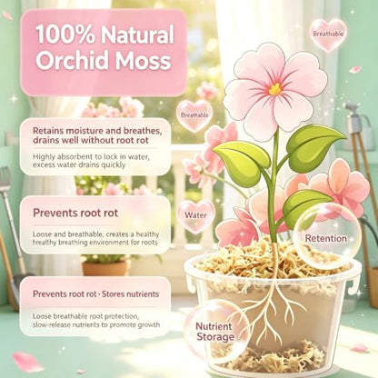 8OZ Compressed Dry Long Fiber Sphagnum Moss, Orchid Moss for Phalaenopsis, Carnivorous Plants & Reptile Terrariums