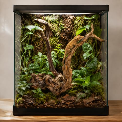 emours Natural Aquarium Driftwood, Upright Root Style Wood for Fish Tank Decor, Unique Driftwood for Aquascape, Terrarium and Reptile Display, 1 Piece (12-16" (30-40 cm)) - size: 12-16" (30-40 cm)