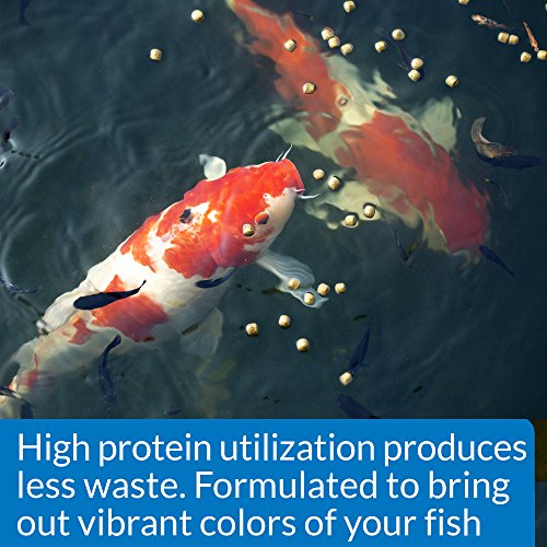 API POND COOL WATER FOOD Pond Fish Food 1.40-Pound Bag