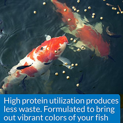 API POND COOL WATER FOOD Pond Fish Food 1.40-Pound Bag