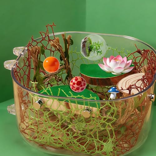 Jumping Spider Enclosure Accessories Kit, 4 Wood Ledges 6 Climbing Webs 1 Hemp Rope Bridge Spider Habitat Decor Enrichment Set for Small Reptile Terrarium Climbing Resting & Exploration