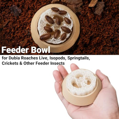 Dubia Roach Water Dish with 3 Luffa Inserts – Feeder Bowl for Dubia Roaches Live, Isopods, Springtails, Crickets & Other Feeder Insects – Reptile Supplies for Terrariums and Enclosures
