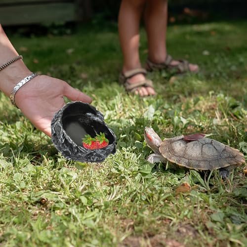 Reptile Water Bowl and Food Feeder, Bark Texture Design, Sturdy Water Container for Tortoise and Lizard Habitat, Suitable for Geckos and Amphibians