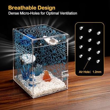 Jumping Spider Enclosure Starter Kit,Escape Proof Ocean Terrarium | Praying Mantis Terrariums,Transparent Acrylic Complete Bug Habitat,All In One Arboreal Tarantula Cribs Cage,Insect Container - color: Blue, size: Small