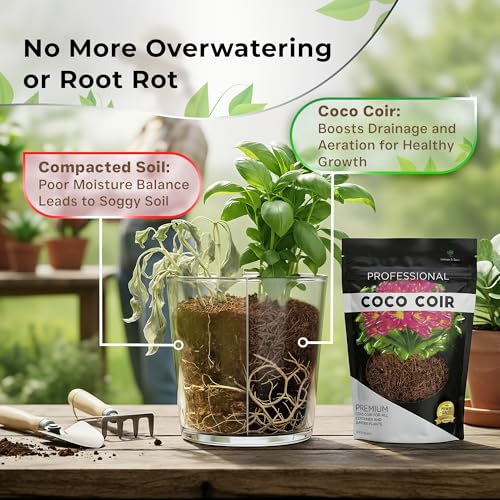 Leaves & Soul Coco Coir for Plants 2.2 Qt Soil Amendment for Potting Soil | Coco Coir for Indoor Plants Retains Moisture, Coconut Coir Improves Drainage, Mix with Garden Soil for Better Aeration & Root - style: Coco Coir Soil Additive (2.2 Quarts)