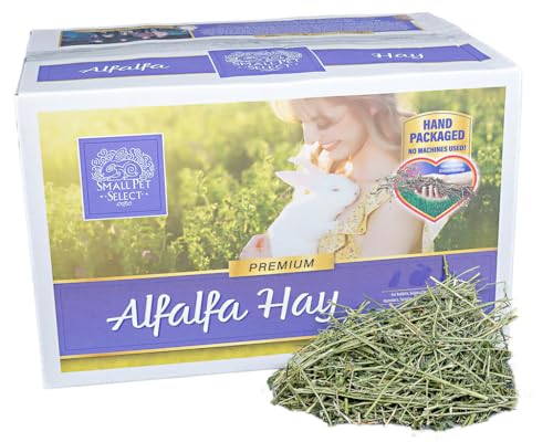 Small Pet Select Alfalfa Hay Pet Food, 20 LB - size: 20 Pound (Pack of 1)