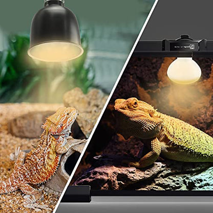 LUCKY HERP New Upgrade 75W Reptile Heat Lamp Bulb (3rd Gen, Safer), Amphibian Basking Spot Light Bulb, UVA Reptile Daylight Bulb for Turtle, Bearded Dragon, Lizard Heating Use (2 Pack) - size: 75