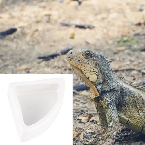 Zerodeko 2pcs Anti-Escape Reptile Feeding Bowl: Ceramic Reptile Food Or Water Bowl for Gecko Bearded Dragon - Mealworm Feeder Prevents Food Scatter