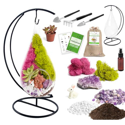 Creations by Nathalie DIY 7" Teardrop Terrarium Kit DIY Terrarium Kit with Live Succulent & Moss, Glass Terrarium Kit for Adults & Teens, Terrarium Moss Kit with Crystals, Handcrafted in the USA - color: Customizable Glass