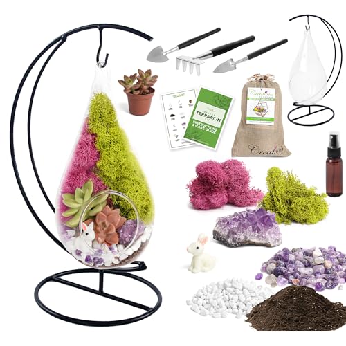 Creations by Nathalie DIY 7" Teardrop Terrarium Kit DIY Terrarium Kit with Live Succulent & Moss, Glass Terrarium Kit for Adults & Teens, Terrarium Moss Kit with Crystals, Handcrafted in the USA - color: Customizable Glass