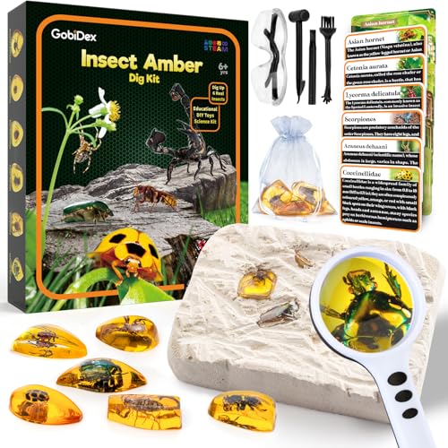 GobiDex Amber Dig Kit for Kids Ages 6+, Excavate 6 Insects Specimens | STEM Geographic Educational Bugs Toys, Excavation Toys for Fun Bugs Party Favors, Science Kits for Kids Age 6-8 8-12