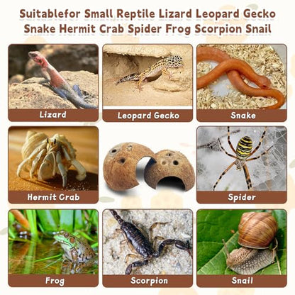 PINVNBY Natural Coconut Reptile Hideouts Lizard, Coco Hut Hermit Crab Hut Aquarium Fish Hide Cave for Small Reptile Crested Gecko Leopard Gecko Spider Snail Climber Toys (4 PCS Natural Surface) - size: 4 PCS Natural Surface