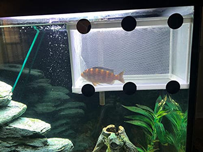 Large Breeder Net for Fish Tank Fish Hatchery Separation Net Mesh Fish Breeding Box with Suction Cup for Aquarium