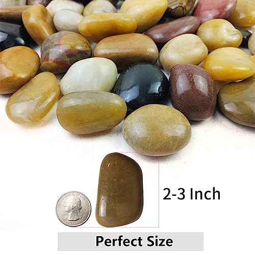 5lbs Pebbles for Indoor Plants, 2-3 Inch Mixed Color River Rocks | High Polished Large Outdoor Decorative Stones Vase Filler Fish Tank Aquariums Landscaping Garden Outdoor and Indoor DIY - color: Mixed Color, size: 5 Pounds