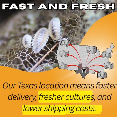 Dwarf White Isopods (Qty-25), Bioactive Clean Up Crew Frog Reptile Amphibian Food Bundle - by TC INSECTS
