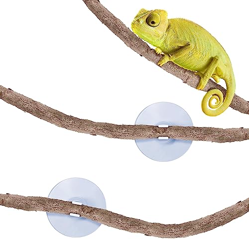 SunGrow 6 ft Reptile Vine for Terrarium, Flexible Climber Lizard Tank Decor, Ball Python Snake Climbing Accessories, Twistable and Bendable Habitat Decor Terrarium Vines for Chameleon, Bearded Dragon