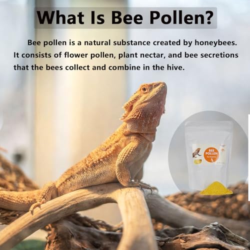 Premium Bee Pollen for Bearded Dragons, Reptiles, Chameleons, Geckos, Amphibians, Natural Appetite and Immune Support, 8 oz Resealable Bag