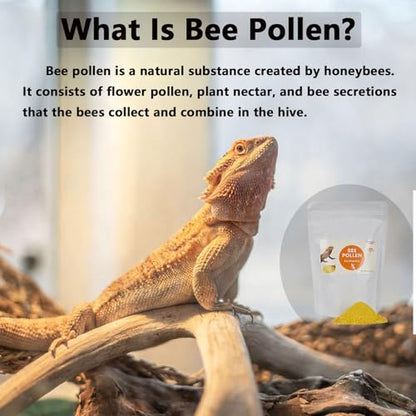 Premium Bee Pollen for Bearded Dragons, Reptiles, Chameleons, Geckos, Amphibians, Natural Appetite and Immune Support, 8 oz Resealable Bag