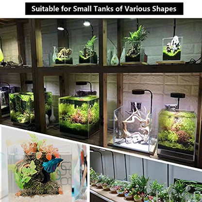 AREPK Aquarium & Terrarium Light, Full Spectrum LED with Auto On/Off Timer | Fits Various Tank Shapes; For Tanks Under 7 Gallons, Betta Tanks, Moss, Succulents, Carnivorous Plants and Mini Landscapes