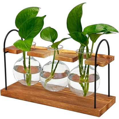 Plant Terrarium with Wooden Stand, Birthday Gift for Women Mom Plant Lover | Retro Glass Plant Propagation Station, Plant Pot Hydroponic, Unique Parent Gardening Gifts, Home Office Garden Decor Planter