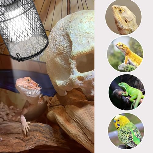 kathson 2 Pcs Reptile Heat Lamp Guard,Reptile Anti-Scald Mesh Cage Guard Lampshade,150W Ceramic Heat Emitter Heat Lamp Shade Fixture for Snake Lizard Turtle Frog,Without Bulb - size: 2 PCS | Reptile Heat Lamp Guard