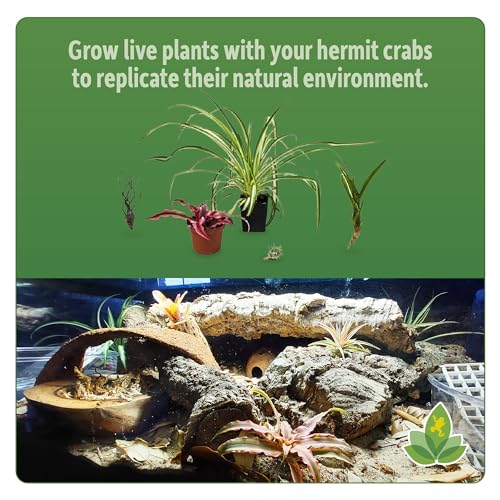 Josh's Frogs Hermit Crab BioBedding Bioactive Substrate, 4 Quart | Sand Included - size: 4 Quart (Sand included)
