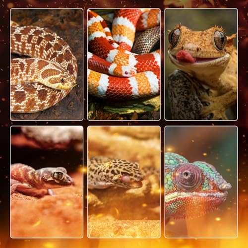 Reptile Heating Panel Temperature Adjustable Reptile Heat Panel for Terrariums, Energy Efficient & Non-Light Heater for Reptiles, Snakes, Crested Gecko,Turtles,Leoparaand Amphibians