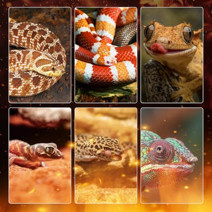 Reptile Heating Panel Temperature Adjustable Reptile Heat Panel for Terrariums, Energy Efficient & Non-Light Heater for Reptiles, Snakes, Crested Gecko,Turtles,Leoparaand Amphibians