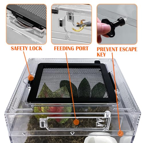 Reptile Terrarium, Jumping Spider Enclosure Starter Kit, Leopard Gecko Habitat Container, 8"x8"x7"Reptile Tank for Tarantula, Hermit Crab, Insect, Fish, Frog, Small Bearded Dragon, Lizard - size: 8"x8"x7"