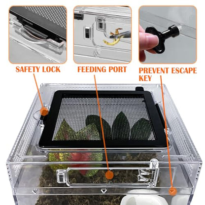 Reptile Terrarium, Jumping Spider Enclosure Starter Kit, Leopard Gecko Habitat Container, 8"x8"x7"Reptile Tank for Tarantula, Hermit Crab, Insect, Fish, Frog, Small Bearded Dragon, Lizard - size: 8"x8"x7"
