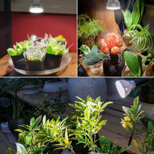 A15 7W Full Spectrum Grow Light Bulbs, E26, 2 Pack | 4000K full-spectrum light with red and blue wavelengths for indoor plant use;A15 bulb shape with a standard E26 base - size: 2 Pack