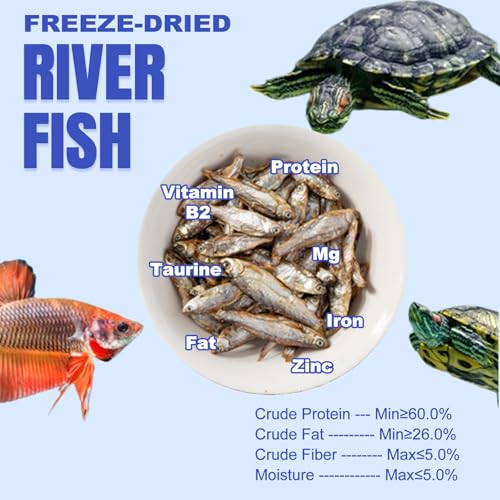 Amzey 2.3 oz Dried River Fish - Natural Food for Turtles, Terrapins, Reptiles and Large Tropical Fish - size: 2.3 Ounce (Pack of 1)