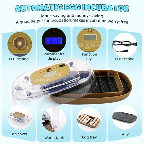 Ploomi 24 Eggs Incubator with Auto Water Refill & Humidity Control, Automatic Egg Turner, Built-in LED Candler, Species Pre-Programs for Chicken Duck Quail Turkey - Beginner Friendly