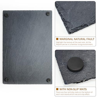 Rock Basking Platform with Bowl & Mat for Reptiles Small | Non-slip base; rough top for claw grinding. Has food bowl & porous surface holds moisture. Fits tortoises, dragons & lizards - size: Small
