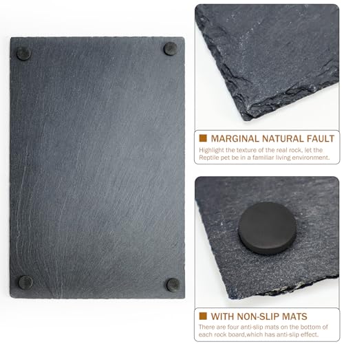 Rock Basking Platform with Bowl & Mat for Reptiles Large | Non-slip base; rough top for claw grinding. Has food bowl & porous surface holds moisture. Fits tortoises, dragons & lizards. - size: Large-Size