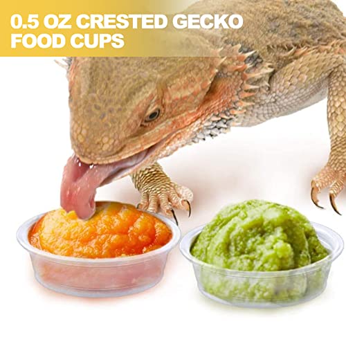 ANCKNE 200 pcs 0.5oz Crested Gecko Food and Water Feeding Cups | Reptile Feeder Bowls | for Lizard and Other Small Pet Ledge Accessories Supplies