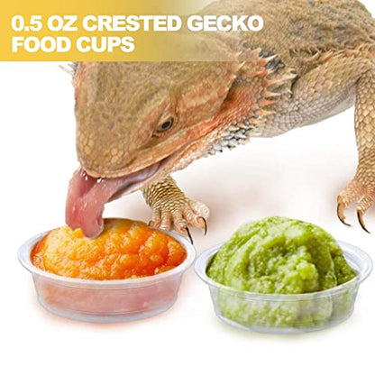 ANCKNE 200 pcs 0.5oz Crested Gecko Food and Water Feeding Cups | Reptile Feeder Bowls | for Lizard and Other Small Pet Ledge Accessories Supplies