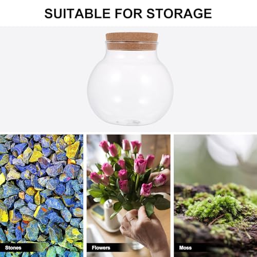 Toyvian Glass Fish Tank with Lid Small Ecological Fish Bowl Micro Landscaping Terrarium Bottle Desktop Decorative Glass Container for Indoor Plant and Moss Ecosystem