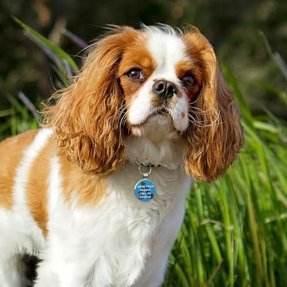 MYLUCKYTAG QR Code Pet ID | Personalized Dog & Cat Collar Tag | Online Profile with Instant Scanned Location Alert Email - style: Have your people-Blue