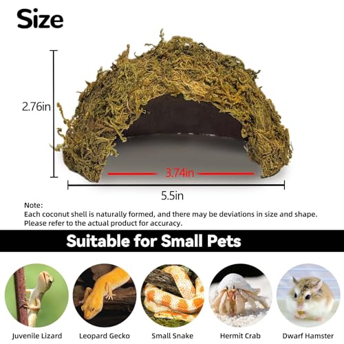 Tfwadmx 1PCS Leopard Gecko Hide, Coconut Reptile Hides Cave, Snake Hideout Mossy Caves Climbing Hide Reptile Tank Decor for Lizard Gecko Hermit Crab