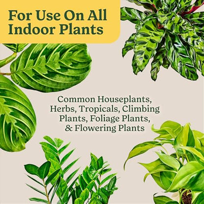 Miracle-Gro Indoor Potting Mix for All Plants, 6 qt., 2-Pack | Use with Houseplants and More, Feeds for up to 6 Months - size: 6 qt (2-Pack), style: 6 QT